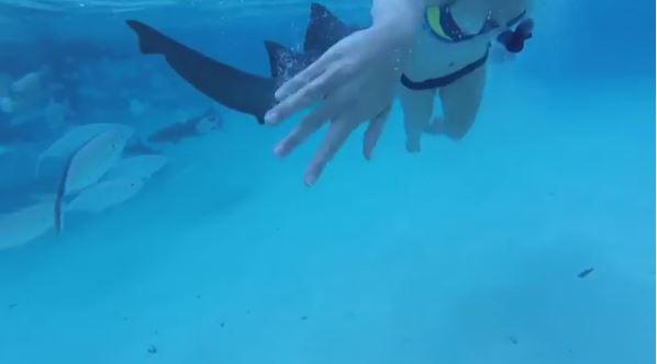  Sh said at first she thought her husband was playing a prank as she did not see the shark approach