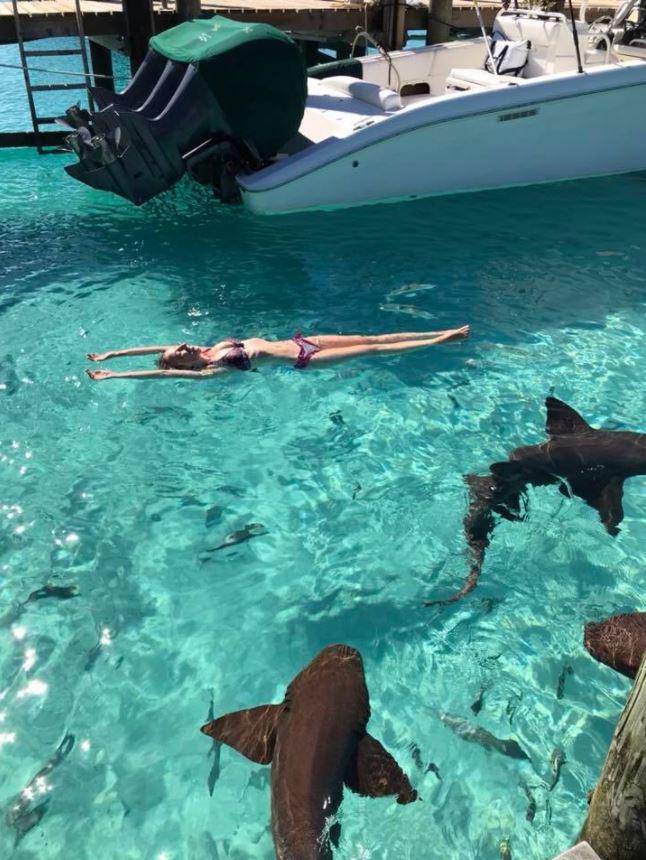  Sarah was snapped swimming with the sharks before one of them attacked her