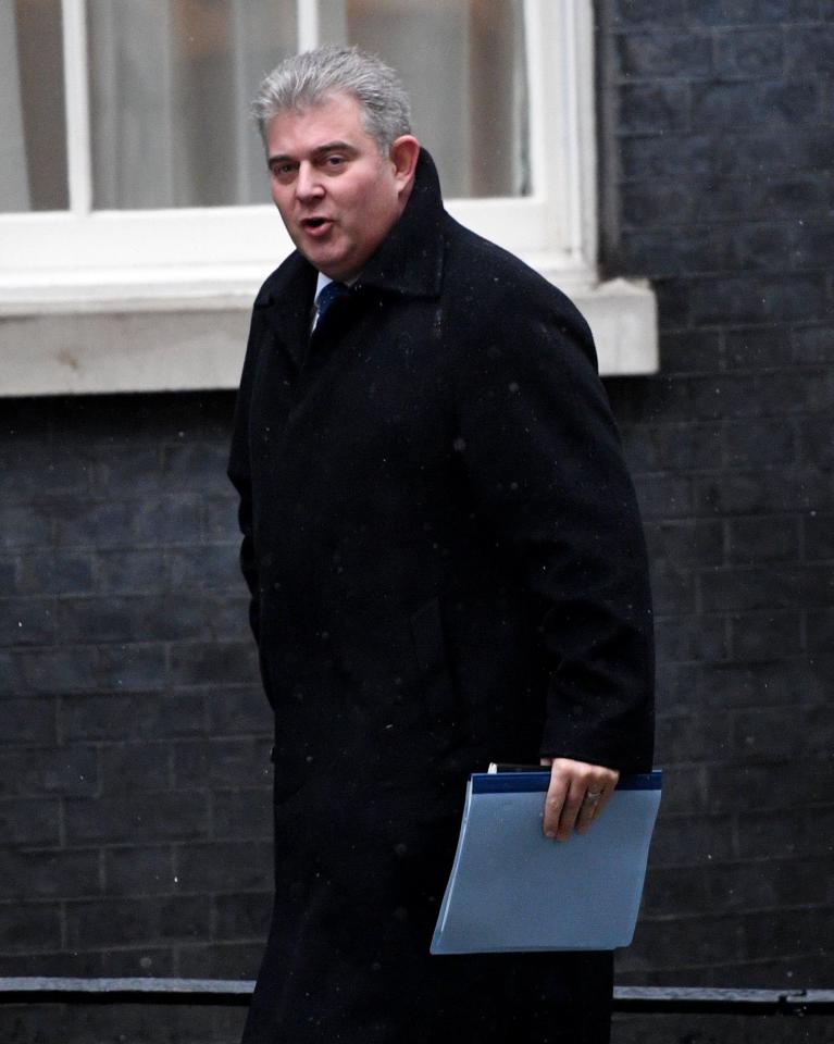  Brandon Lewis has been noted for his great start in immigration and is a junior minster that could also be promoted