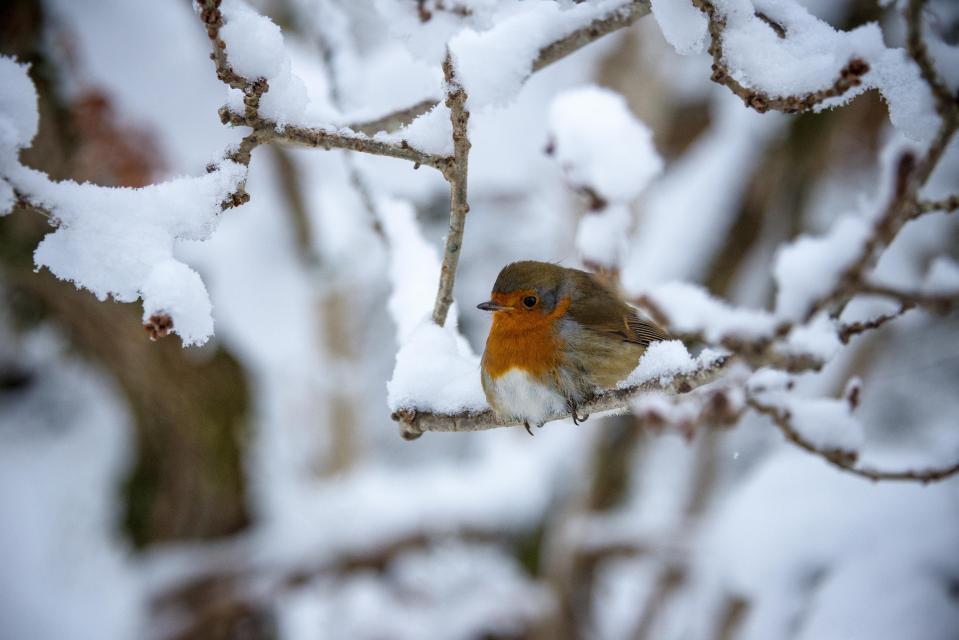  The snow still covers much of Invermoriston, Scotland, in a festive scene