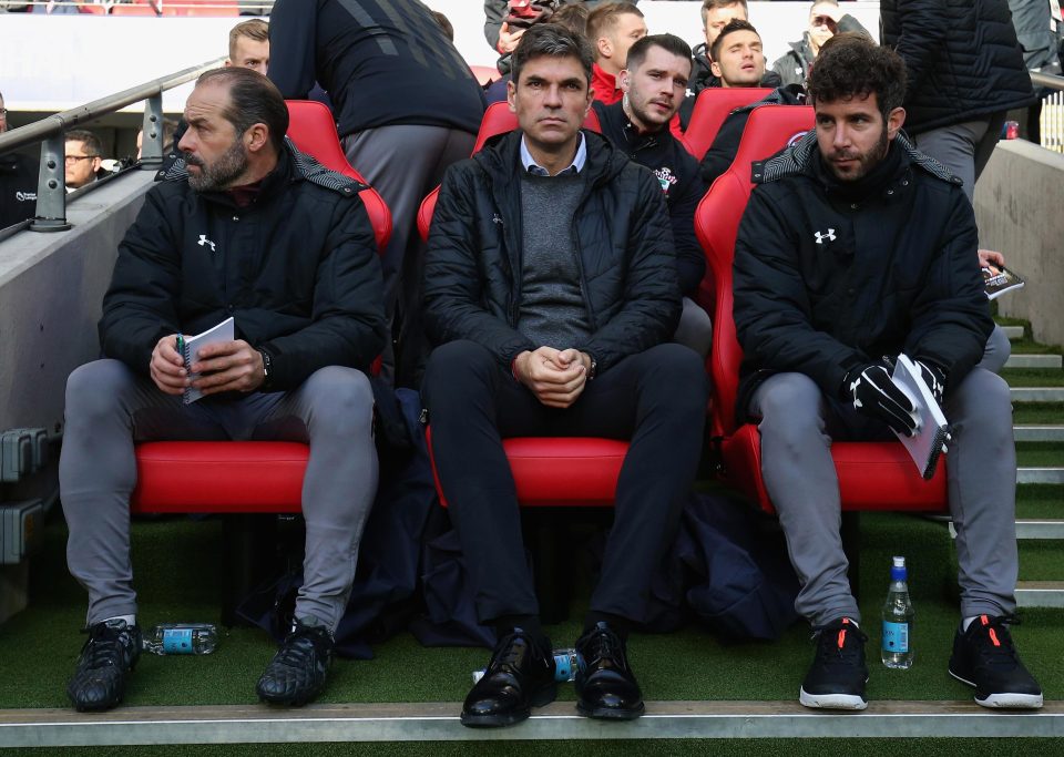  Southampton boss Mauricio Pellegrino is facing calls to be sacked by the fans