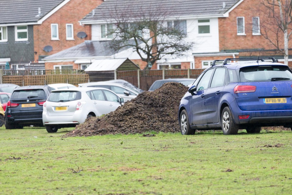 Holidaymakers' vehicles left around a mound of horse manure and soil