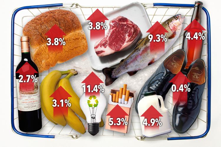  This graphic shows how various classes of goods have risen in price over the past year