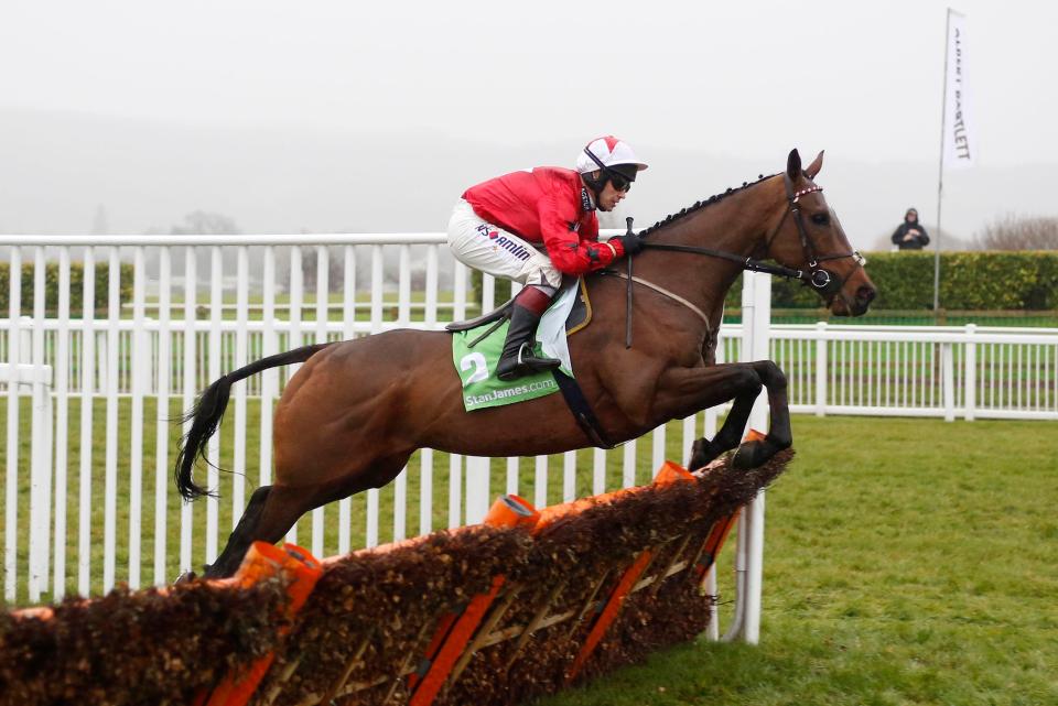  The New One won his fourth Champion Hurdle Trial