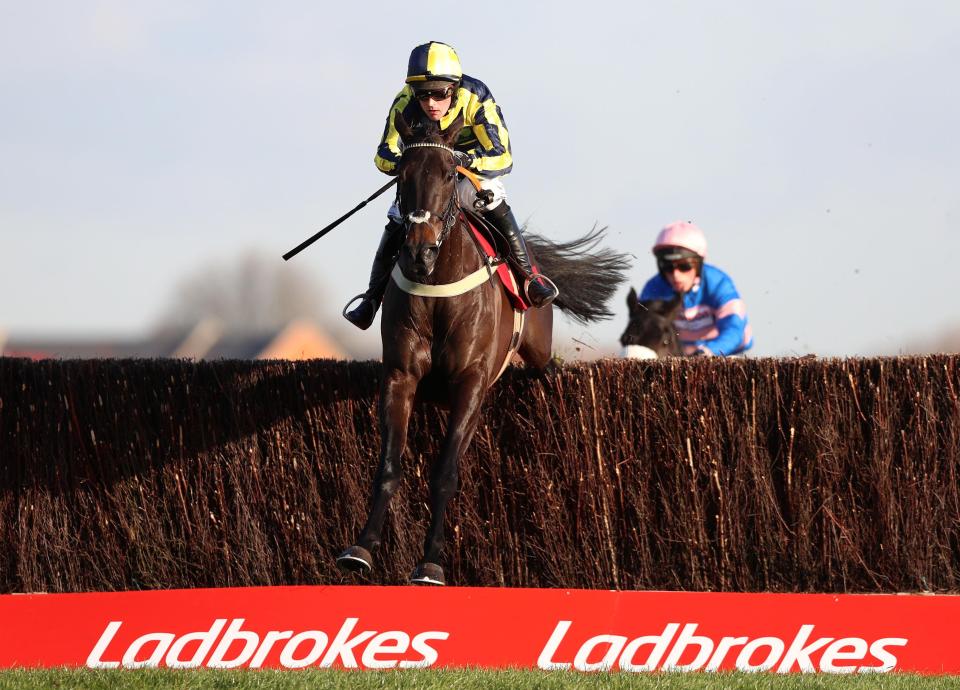  Willoughby Court's participation at the Cheltenham Festival is in doubt