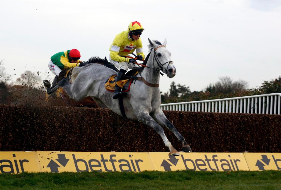  Politologue has the Champion Chase at Cheltenham as his main target for the season