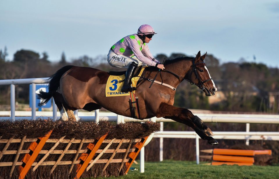  Faugheen was pulled up on his last start