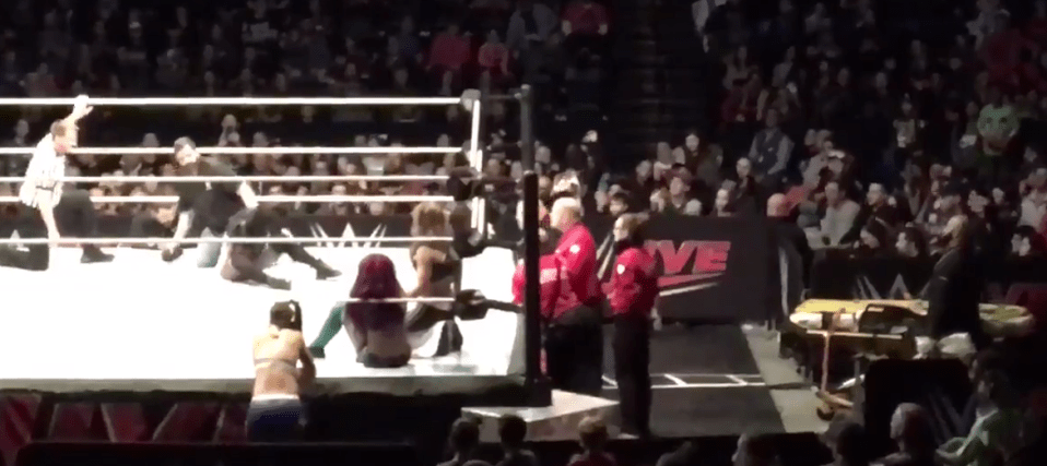  Paige was visibly in pain as she was leaving the ring