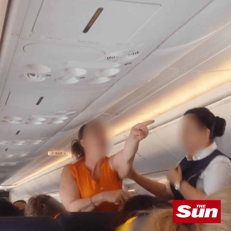  She had been branding an air stewardess a 'devil'