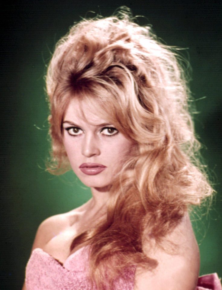  Bardot slammed the "vast majority" of complainants as "hypocritical and ridiculous"