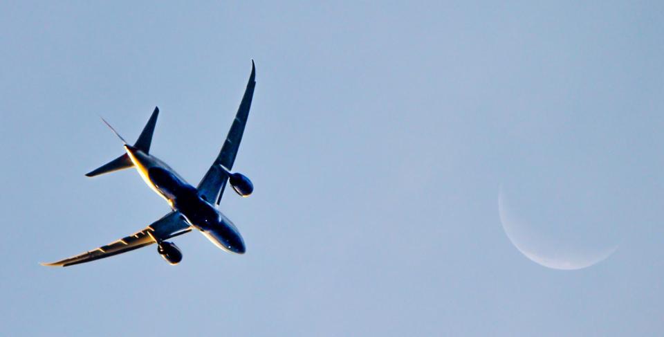  All wings are stress-tested before a plane is even allowed to ever take flight