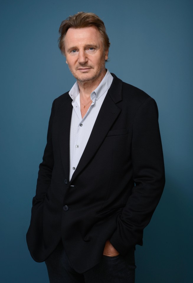 Liam Neeson is a Hollywood movie star