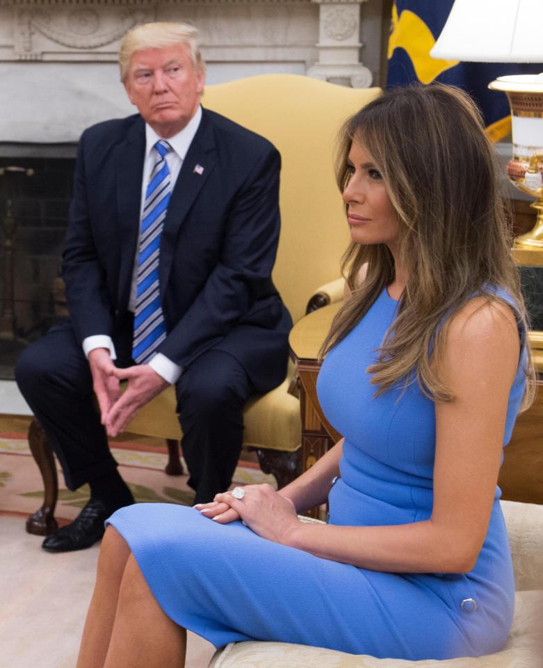 Melania Trump told her husband  she simply could not bear the pressure of being First Lady