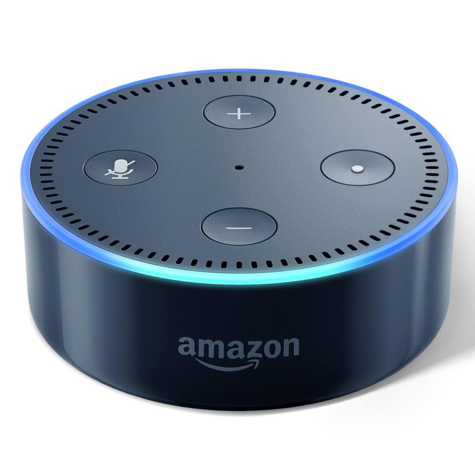 Alexa skills