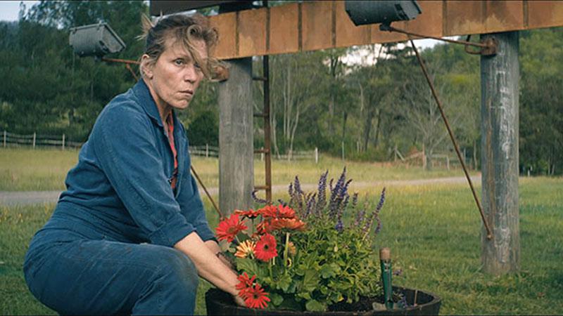  Frances McDormand bagged the Best Actress Academy Award for Three Billboards Outside Ebbing, Missouri