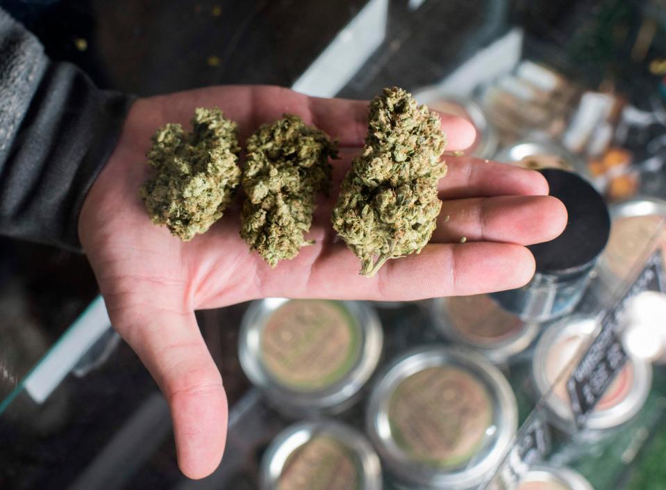  From today, cannabis for recreational use can be legally sold in California