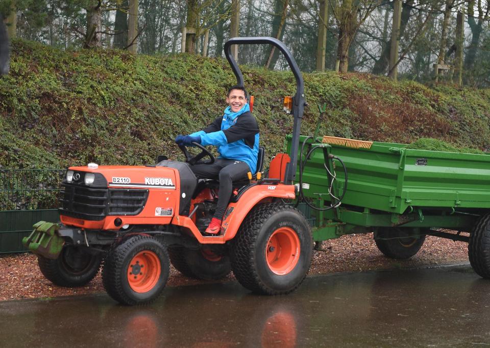  Alexis Sanchez beams with delight as he pulls a trailer