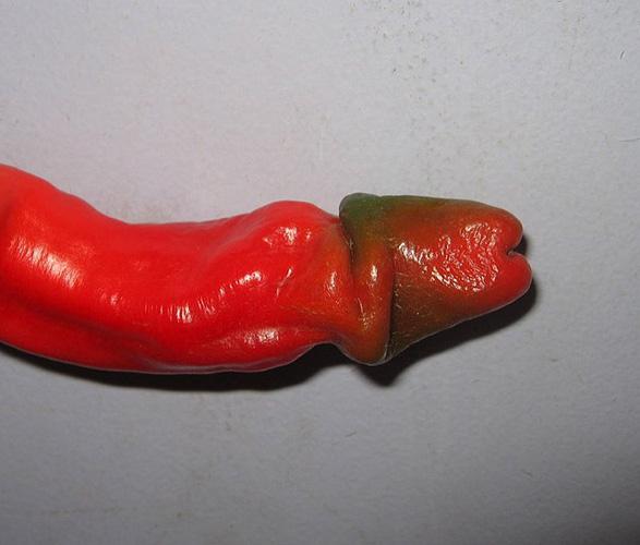  The godfather of all peppers leaves little to the imagination