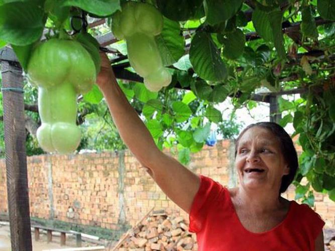 For some vegetables, size really does matter