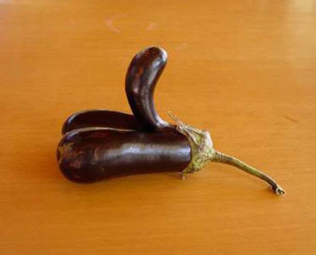  This well-endowed eggplant just can't stay still