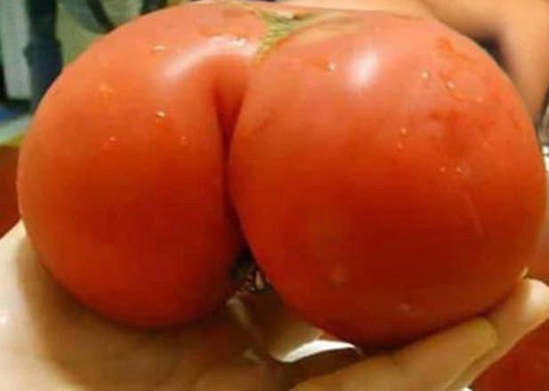  This peachy posterior (well, a tomato) could give Kim Kardashian a run for her money