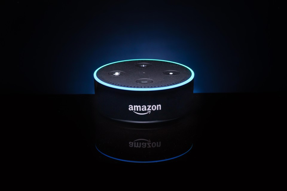 Alexa skills