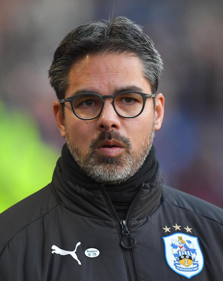  Terriers boss David Wagner was disappointed to draw in the FA Cup forcing a replay