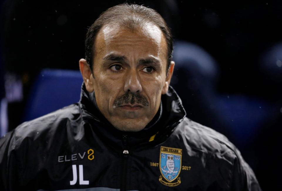  Sheffield Wednesday manager Jos Luhukay has a number of players unavailable due to injury