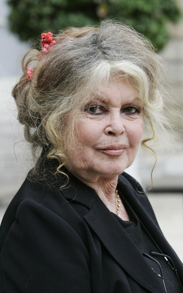 French film legend Brigitte Bardot has attacked the #MeToo movement