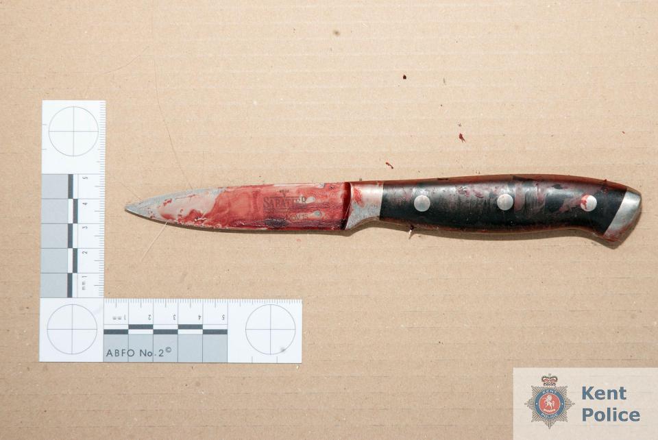  A blood-soaked knife that was allegedly seized by police following Miss McLaren's death