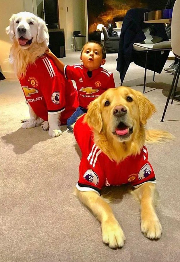  Alexis Sanchez posted pics of his dogs when he first arrived at the Lowry