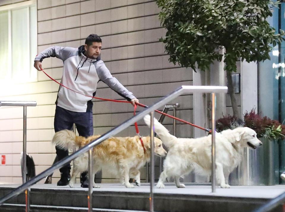  Sanchez's dogs, Atom and Humber, head into the Lowry Hotel