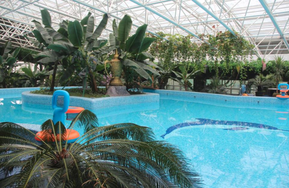 Workers at a North Korean factory can apparently enjoy this pool during breaks