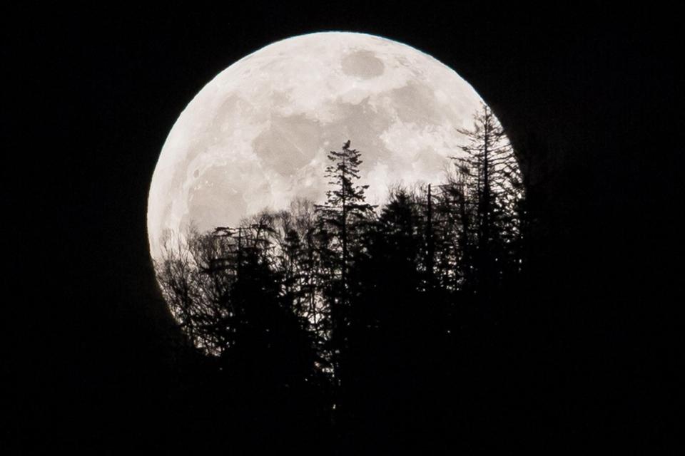  A super moon rises over trees in the town of Yuzhno-Sakhalinsk on Sakhalin Island in Russia's Far East