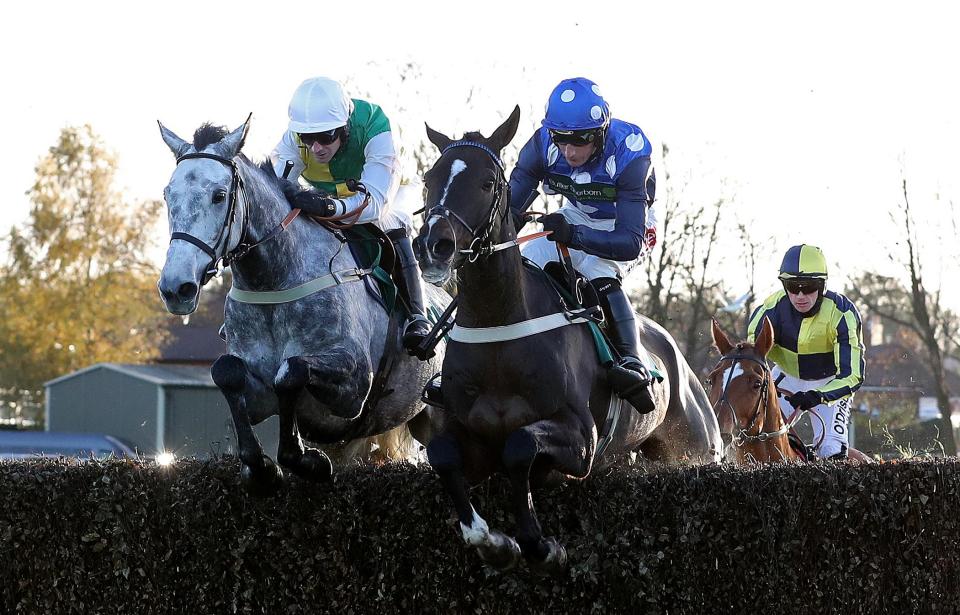  Vintage Clouds (left) is the one for me at Wetherby