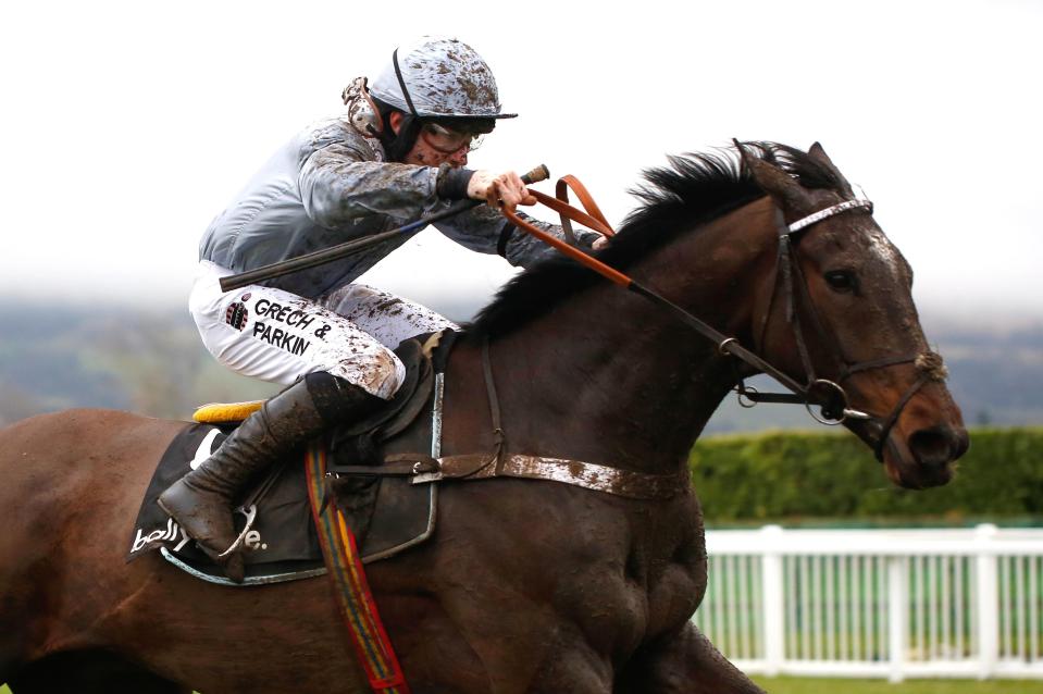  Santini finished third in the Albert Bartlett Novices' Hurdle