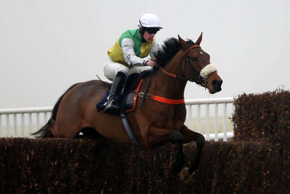  Mount Mews had won his chasing debut earlier this month