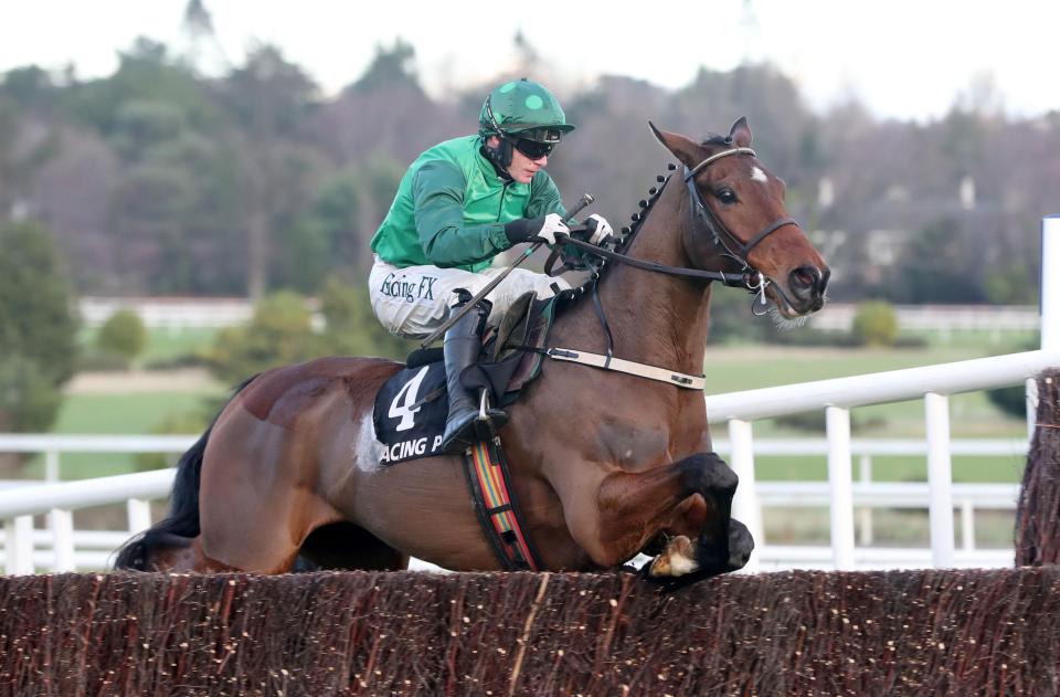  Footpad has impressed over fences