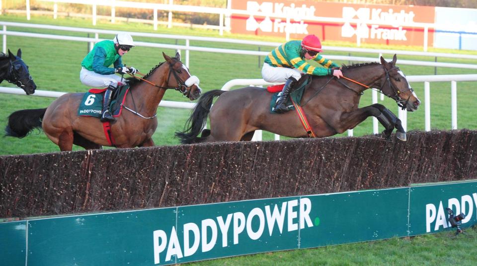  Anibale Fly clears the last in style at Leopardstown