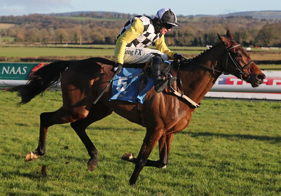  Next Destination looks to have a big chance at Cheltenham