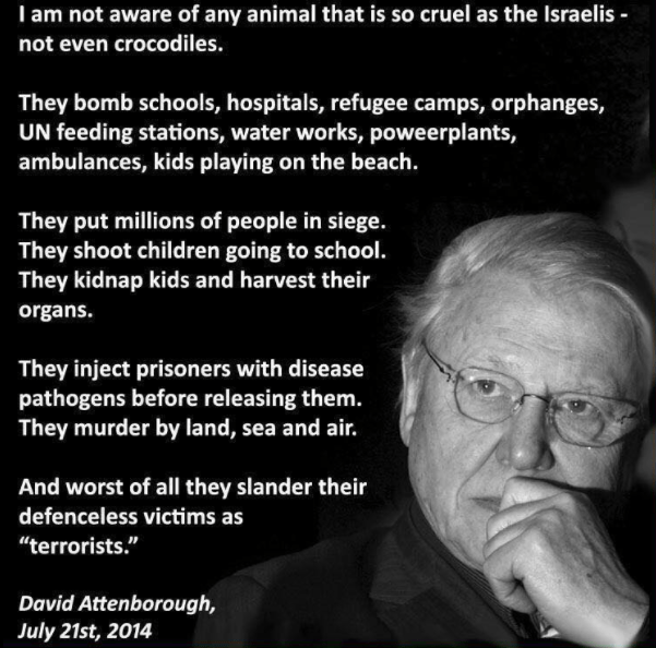  A fake quote from David Attenborough is featured on one of the pages which Mr Gwynne signed up to