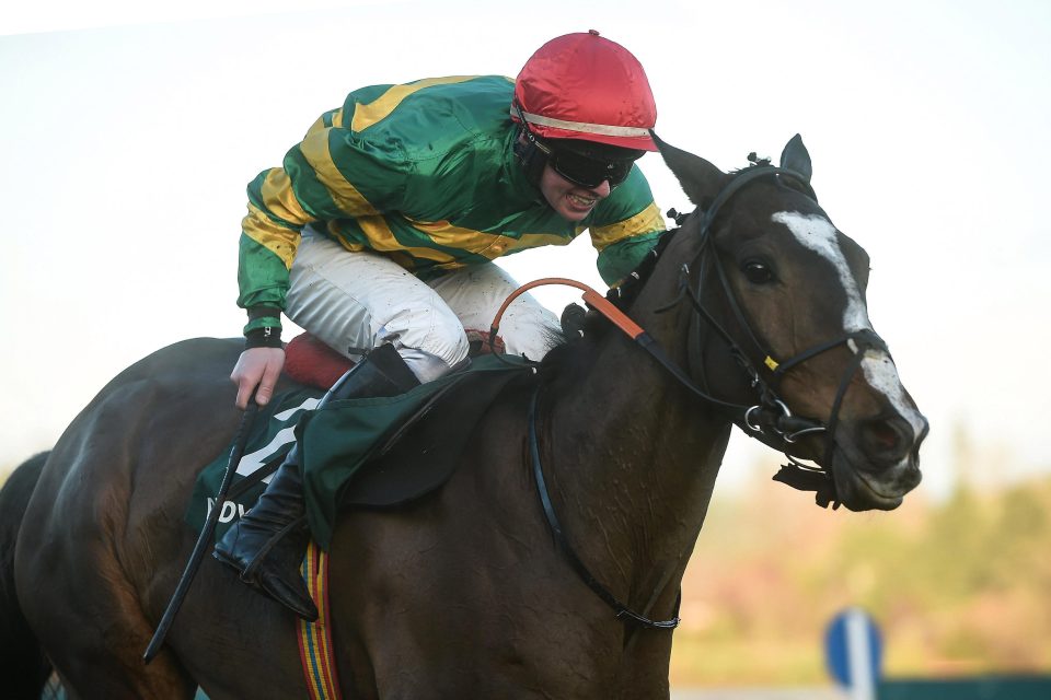  Anibale Fly is now set to be stepped back up in class