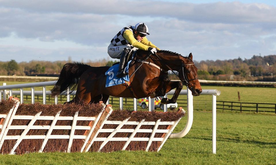  Next Destination on his way to winning at Naas