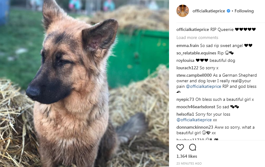 Katie paid tribute to her dog Queenie in an Instagram post