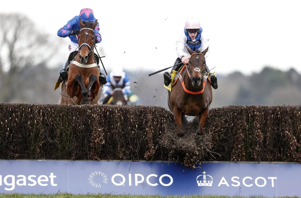  Waiting Patiently (right) beat Cue Card at Ascot last year