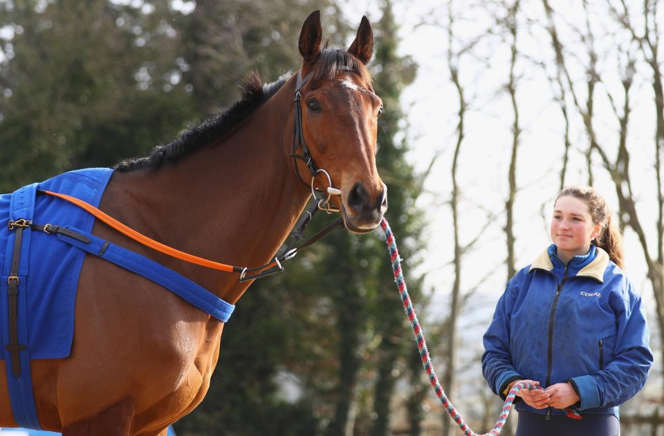  Cue Card will parade for racegoers at Sandown on Saturday