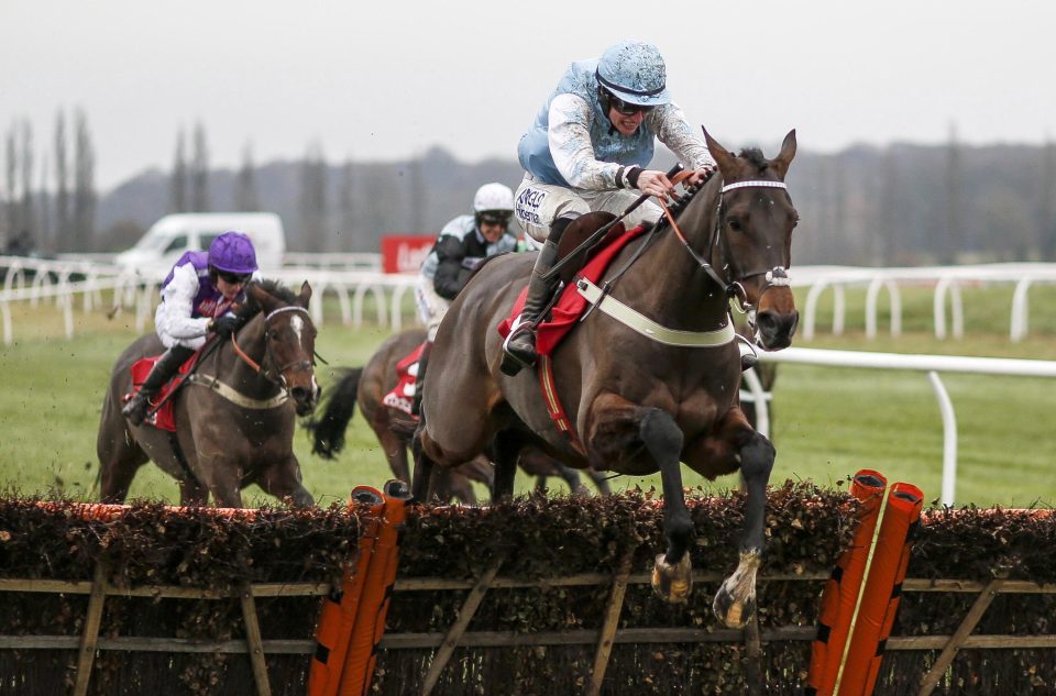  High Bridge heads the weights for the Betfair Hurdle