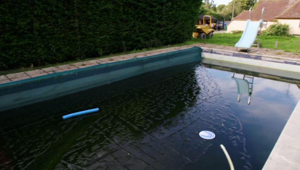  The swimming pool was covered in scum and algae