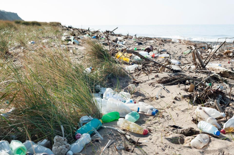  Britain's beaches and natural environments have been devastated by plastic waste