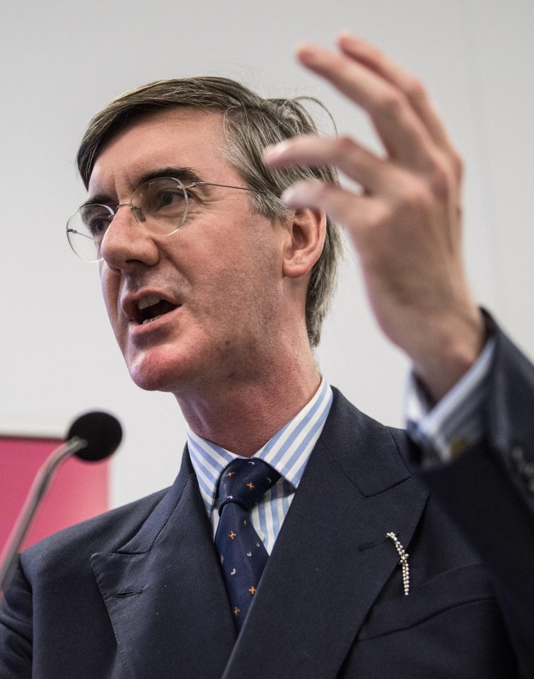  Mr Rees-Mogg, who has been tipped as his party's next leader, had been speaking at the University's Politics and International Relations Society